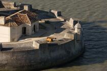 Fort Louvois © Philip Plisson / Plisson La Trinité / AA25292 - Photo Galleries - Fort Louvois