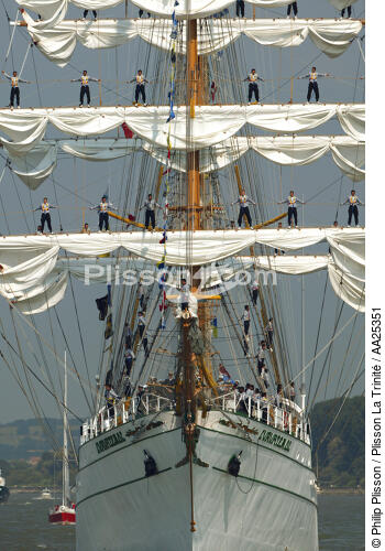 L'Armada de Rouen 2003 - © Philip Plisson / Plisson La Trinité / AA25351 - Photo Galleries - Cuauhtemoc