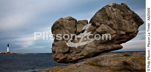 Sein island. - © Philip Plisson / Plisson La Trinité / AA25406 - Photo Galleries - Finistère