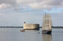 The Belem next to Fort-Boyard. © Philip Plisson / Plisson La Trinité / AA25502 - Photo Galleries - Tall ships