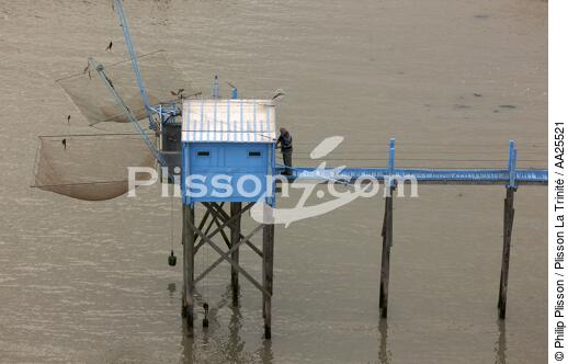 Aiguillon Bay - © Philip Plisson / Plisson La Trinité / AA25521 - Photo Galleries - Square fishing net