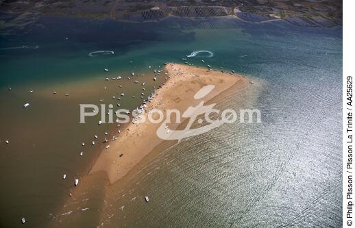 Ile de R2. - © Philip Plisson / Plisson La Trinité / AA25629 - Photo Galleries - Low tide