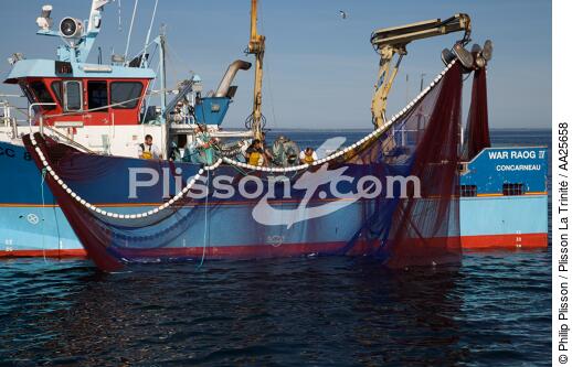 Pêche à la sardine en baie de Concarneau - © Philip Plisson / Plisson La Trinité / AA25658 - Nos reportages photos - Finistère