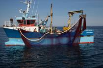 Pêche à la sardine en baie de Concarneau © Philip Plisson / Plisson La Trinité / AA25659 - Nos reportages photos - Vue non aérienne