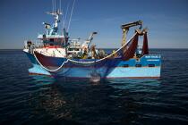 Pêche à la sardine en baie de Concarneau © Philip Plisson / Plisson La Trinité / AA25661 - Nos reportages photos - Pêche à la senne