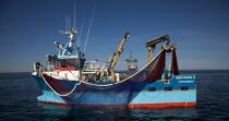 Pêche à la sardine en baie de Concarneau © Philip Plisson / Plisson La Trinité / AA25662 - Nos reportages photos - Finistère