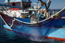 Pêche à la sardine en baie de Concarneau © Philip Plisson / Plisson La Trinité / AA25663 - Nos reportages photos - Finistère