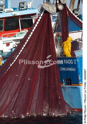 Pêche à la sardine en baie de Concarneau - © Philip Plisson / Plisson La Trinité / AA25667 - Nos reportages photos - La pêche à la sardine