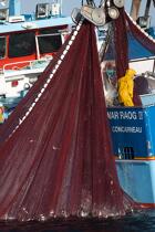 Pêche à la sardine en baie de Concarneau © Philip Plisson / Plisson La Trinité / AA25667 - Nos reportages photos - Pêche à la senne