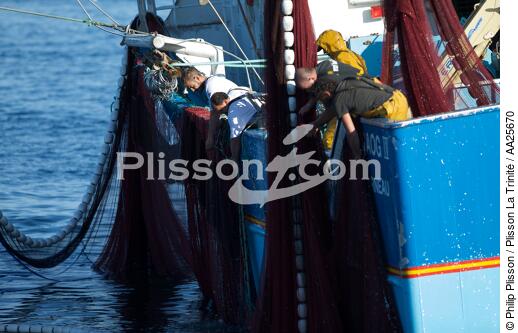 Pêche à la sardine en baie de Concarneau - © Philip Plisson / Plisson La Trinité / AA25670 - Nos reportages photos - Finistère