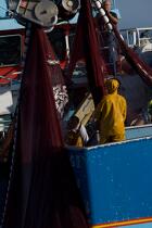 Pêche à la sardine en baie de Concarneau © Philip Plisson / Plisson La Trinité / AA25671 - Nos reportages photos - Baie de Concarneau
