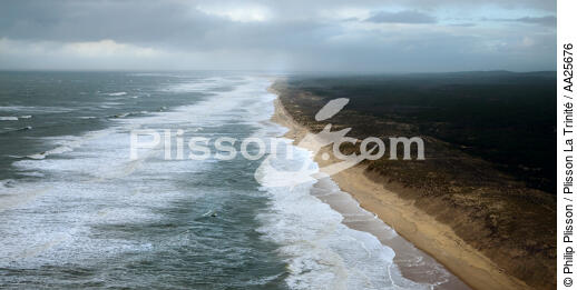 Plage de La Coubre - © Philip Plisson / Plisson La Trinité / AA25676 - Nos reportages photos - Dune