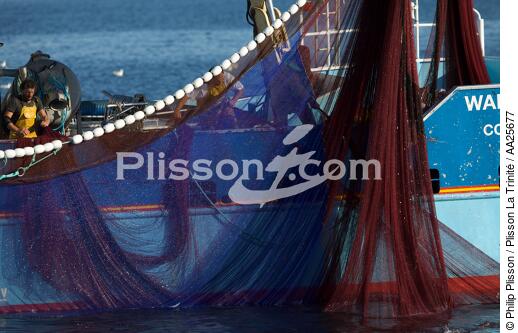 Pêche à la sardine en baie de Concarneau - © Philip Plisson / Plisson La Trinité / AA25677 - Nos reportages photos - Finistère