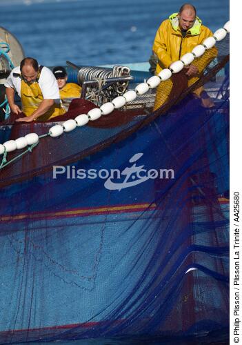 Pêche à la sardine en baie de Concarneau - © Philip Plisson / Plisson La Trinité / AA25680 - Nos reportages photos - Pêche à la senne