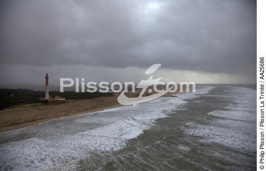 La Coubre beach - © Philip Plisson / Plisson La Trinité / AA25686 - Photo Galleries - Dune