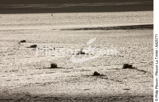 Oyster farming near Oléron island - © Philip Plisson / Plisson La Trinité / AA25771 - Photo Galleries - Backlit
