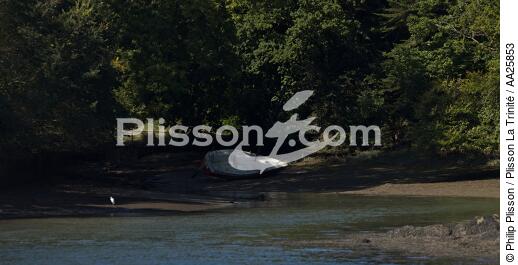 Odet river - © Philip Plisson / Plisson La Trinité / AA25853 - Photo Galleries - Boat graveyard