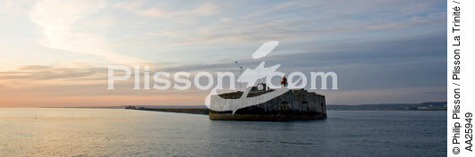 Le fort de l'Ouest in front of Cherbourg. - © Philip Plisson / Plisson La Trinité / AA25949 - Photo Galleries - Fort de l'Ouest
