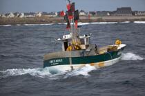 Back to fishing in St. Guénolé. © Philip Plisson / Plisson La Trinité / AA26013 - Photo Galleries - From Brest to Loctudy