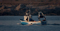 Petite pêche devant la Côte sauvage de Quiberon. © Philip Plisson / Plisson La Trinité / AA26244 - Nos reportages photos - Quiberon [presqu'île de]