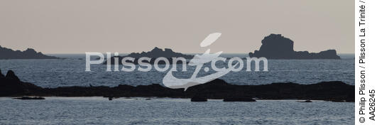 The Wild Coast of Quiberon. - © Philip Plisson / Plisson La Trinité / AA26245 - Photo Galleries - Wild coast