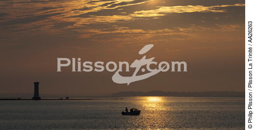 Damgan - © Philip Plisson / Plisson La Trinité / AA26263 - Photo Galleries - Sun