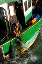 Trawler boat from Trinité © Philip Plisson / Plisson La Trinité / AA26324 - Photo Galleries - Morbihan