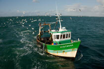 Trawler boat from Trinité © Philip Plisson / Plisson La Trinité / AA26326 - Photo Galleries - Fisherman