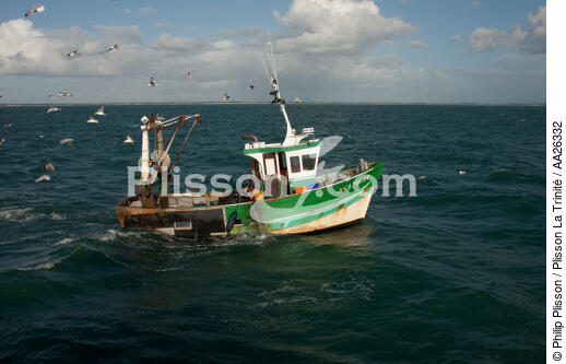 Trawler boat from Trinité - © Philip Plisson / Plisson La Trinité / AA26332 - Photo Galleries - Morbihan