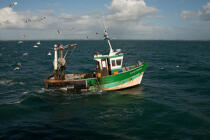 Trawler boat from Trinité © Philip Plisson / Plisson La Trinité / AA26332 - Photo Galleries - Fisherman
