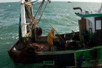 Trawler boat from la Trinité sur mer © Philip Plisson / Plisson La Trinité / AA26336 - Photo Galleries - Inshore fishing