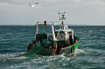 Trawler boat from la Trinité sur mer © Philip Plisson / Plisson La Trinité / AA26337 - Photo Galleries - Quiberon bay [The]