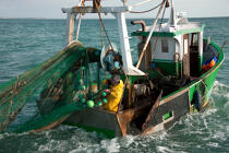 Chalutier Trinitain © Philip Plisson / Plisson La Trinité / AA26339 - Nos reportages photos - Pêche côtière