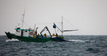 Pêche a la sardine pour la Quiberonaise © Philip Plisson / Plisson La Trinité / AA26399 - Nos reportages photos - Pêche à la senne