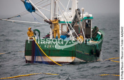 Pêche a la sardine pour la Quiberonaise - © Philip Plisson / Plisson La Trinité / AA26402 - Nos reportages photos - Pêcheur
