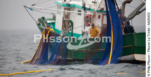 Pêche a la sardine pour la Quiberonaise - © Philip Plisson / Plisson La Trinité / AA26403 - Nos reportages photos - Pêche à la sardine