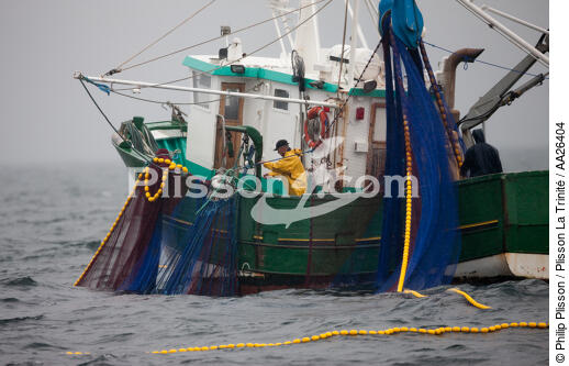 Pêche a la sardine pour la Quiberonaise - © Philip Plisson / Plisson La Trinité / AA26404 - Nos reportages photos - La pêche à la sardine