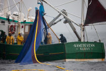 Sardine fishing boat . © Philip Plisson / Plisson La Trinité / AA26406 - Photo Galleries - Fisherman