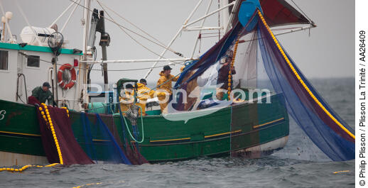 Sardine fishing boat . - © Philip Plisson / Plisson La Trinité / AA26409 - Photo Galleries - Fisherman