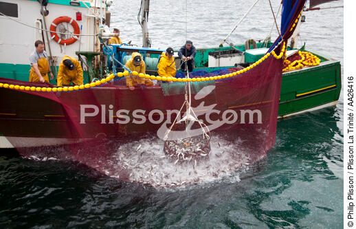 Pêche a la sardine pour la Quiberonaise - © Philip Plisson / Plisson La Trinité / AA26416 - Nos reportages photos - Pêche à la sardine
