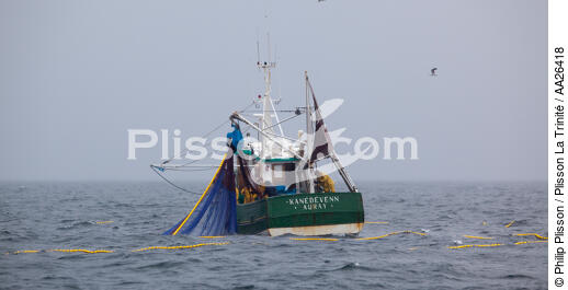 Pêche a la sardine pour la Quiberonaise - © Philip Plisson / Plisson La Trinité / AA26418 - Nos reportages photos - La pêche à la sardine