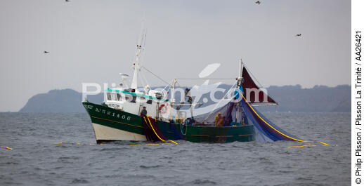 Pêche a la sardine pour la Quiberonaise - © Philip Plisson / Plisson La Trinité / AA26421 - Nos reportages photos - La pêche à la sardine