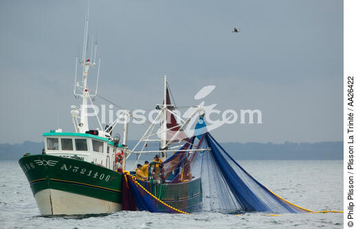 Pêche a la sardine pour la Quiberonaise - © Philip Plisson / Plisson La Trinité / AA26422 - Nos reportages photos - Pêche à la sardine