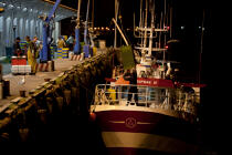 The fishing port of Lorient Kéroman. © Philip Plisson / Plisson La Trinité / AA26481 - Photo Galleries - Fish dock