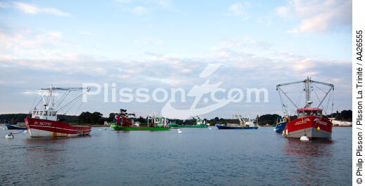 Sur la rivière de Crac'h - © Philip Plisson / Plisson La Trinité / AA26555 - Nos reportages photos - Mouillage