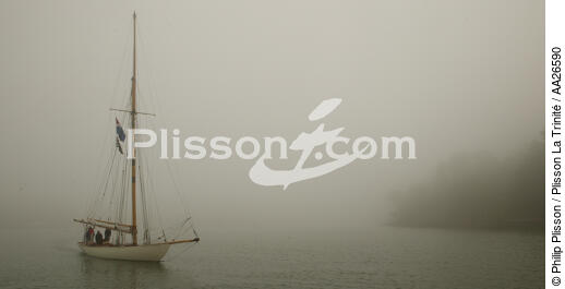 Nan of Fife dans la brume. - © Philip Plisson / Plisson La Trinité / AA26590 - Nos reportages photos - Cotre aurique