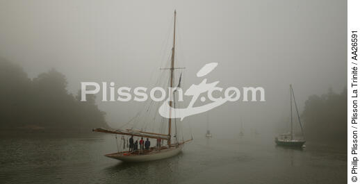 Nan of Fife dans la brume. - © Philip Plisson / Plisson La Trinité / AA26591 - Nos reportages photos - Ciel