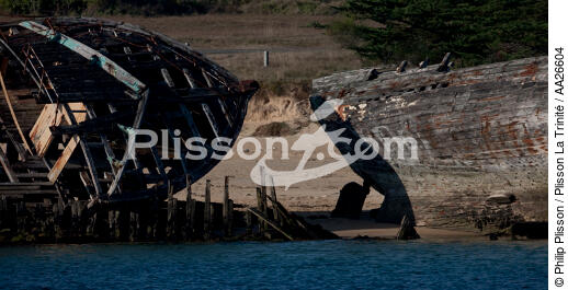 Epaves de thonier à Plouhinec - © Philip Plisson / Plisson La Trinité / AA26604 - Nos reportages photos - Artisanat