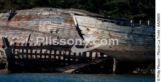 Epaves de thonier à Plouhinec - © Philip Plisson / Plisson La Trinité / AA26605 - Nos reportages photos - Coque de bateau