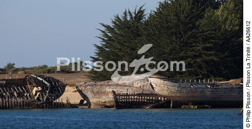 Wrecks of tuna fishing boat in Plouhinec - © Philip Plisson / Plisson La Trinité / AA26612 - Photo Galleries - Boat graveyard